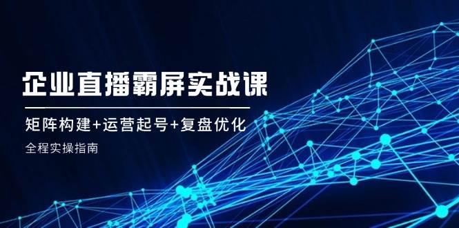 企业直播霸屏实战课：矩阵构建+运营起号+复盘优化，全程实操指南-三石淘金网
