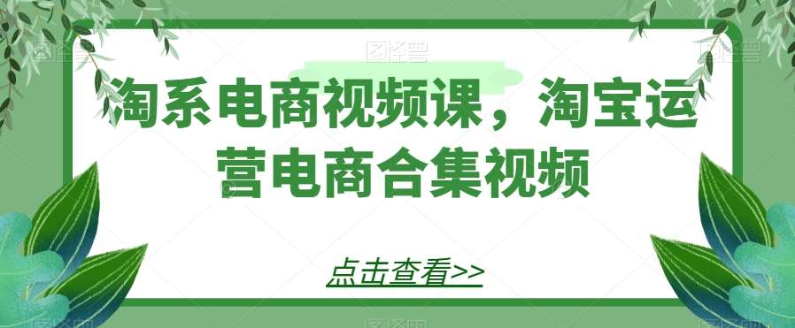 淘系电商视频课，淘宝运营电商合集视频-三石资源库