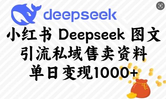 小红书Deepseek图文引流私域售卖资料，单日变现多张-三石资源库