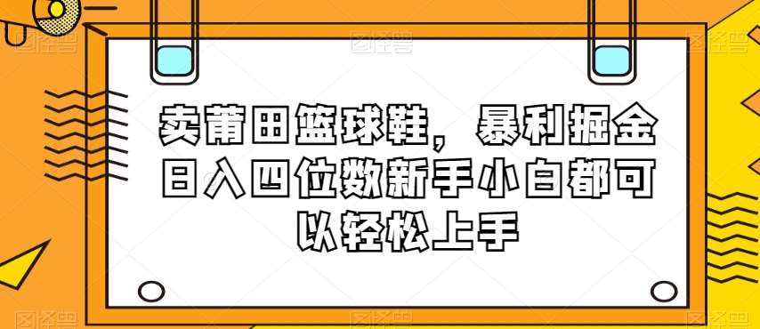 卖莆田篮球鞋，暴利掘金日入四位数新手小白都可以轻松上手【揭秘】-三石资源库