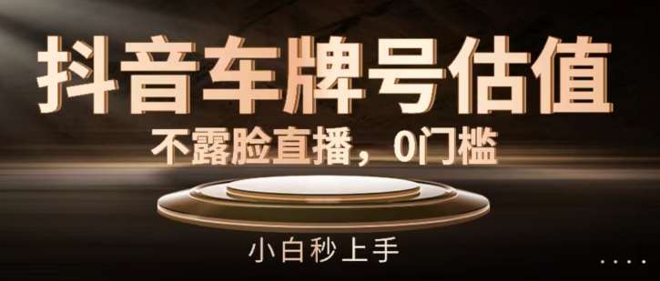 抖音车牌号估值，不露脸直播，0门槛，小白秒上手【揭秘】-三石淘金网