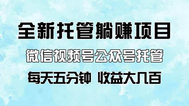 （14425期）全新托管躺赚项目，微信视频号公众号托管代运营，每天五分钟，收益大几百-三石资源库