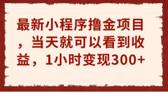 最新小程序撸金项目，当天就可以看到收益，1小时变现300+【揭秘】-三石资源库
