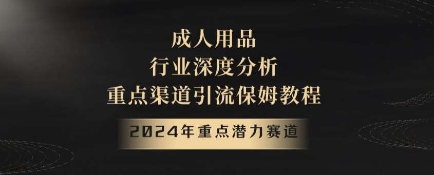 2024年重点潜力赛道，成人用品行业深度分析，重点渠道引流保姆教程【揭秘】-三石资源库