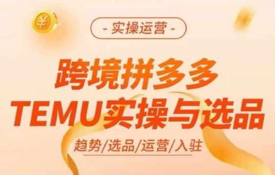 跨境拼多多TEMU实操与选品，多多temu跨境选品运营实操-三石资源库