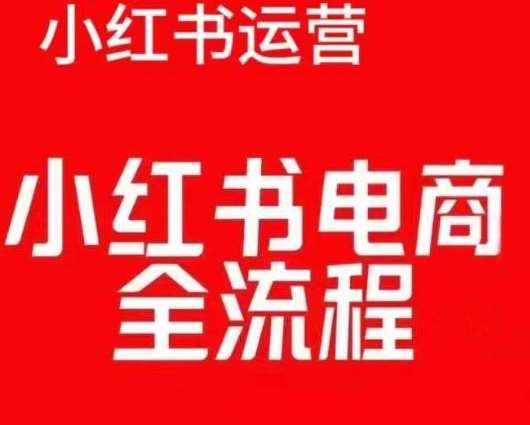 红薯电商实操课，小红书电商全流程-三石淘金网