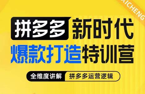 玺承·拼多多新时代爆款打造特训营，全维度讲解拼多多运营逻辑-三石资源库