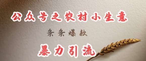 deepseek写农村小项目，条条爆款，暴力引流-三石资源库