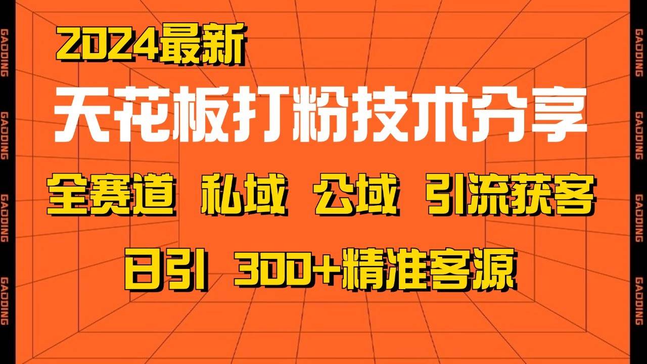 天花板打粉技术分享，野路子玩法 曝光玩法免费矩阵自热技术日引2000+精准客户-三石淘金网