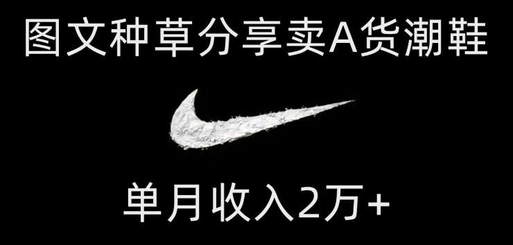 靠图文种草分享卖A货潮鞋,每天一小时,单月收入2万+【揭秘】-三石资源库