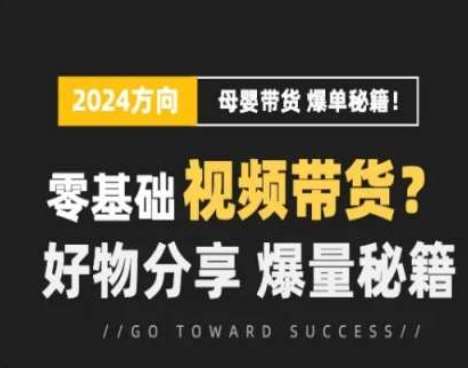 短视频母婴赛道实操流量训练营，零基础视频带货，好物分享，爆量秘籍-三石资源库
