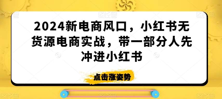 2024新电商风口，小红书无货源电商实战，带一部分人先冲进小红书-三石资源库