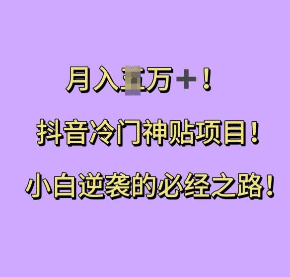 抖音冷门神贴项目，小白逆袭的必经之路，月入过W【揭秘】-三石资源库