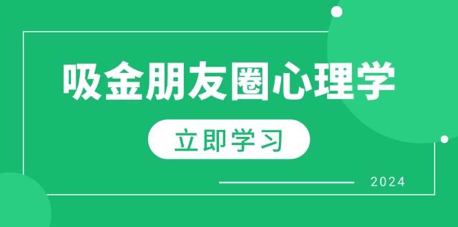 朋友圈吸金心理学：揭秘心理学原理，增加业绩，打造个人IP与行业权威-三石淘金网