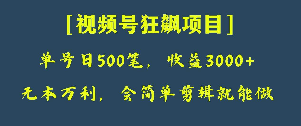 日收款500笔，纯利润3000+，视频号狂飙项目！-三石淘金网
