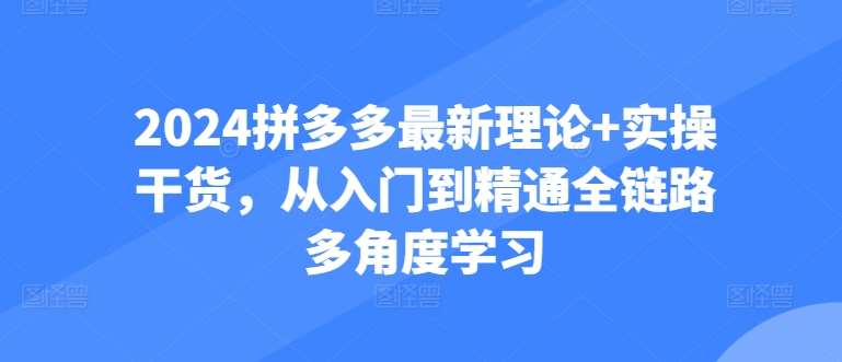 2024拼多多最新理论+实操干货，从入门到精通全链路多角度学习-三石资源库