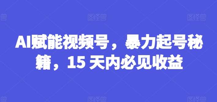 AI赋能视频号,暴力起号秘籍,15 天内必见收益【揭秘】-三石资源库