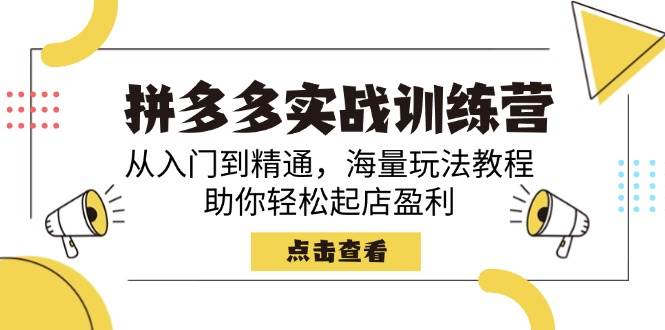 （14392期）拼多多实战训练营，从入门到精通，海量玩法教程，助你轻松起店盈利-三石资源库