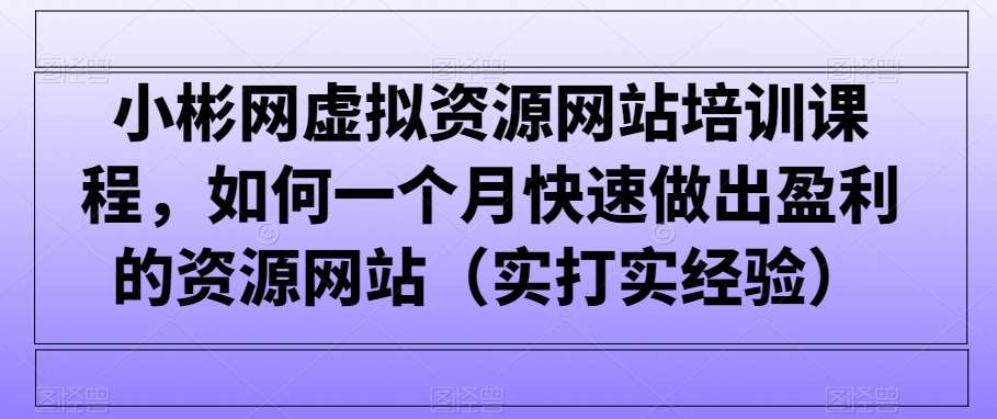 小彬网虚拟资源网站培训课程，如何一个月快速做出盈利的资源网站（实打实经验）-三石资源库