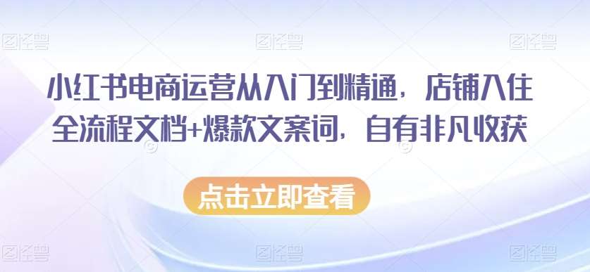小红书电商运营从入门到精通，店铺入住全流程文档+爆款文案词，自有非凡收获-三石资源库