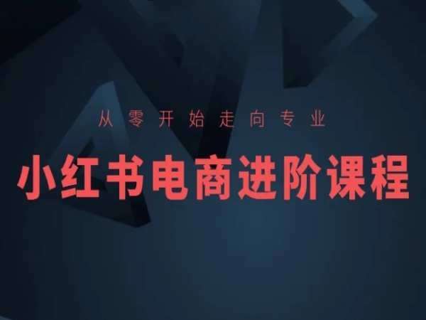 从零开始走向专业，小红书电商进阶课程-三石资源库