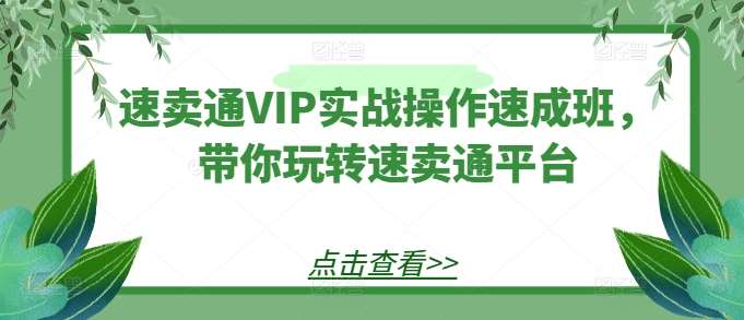 速卖通VIP实战操作速成班，带你玩转速卖通平台-三石资源库