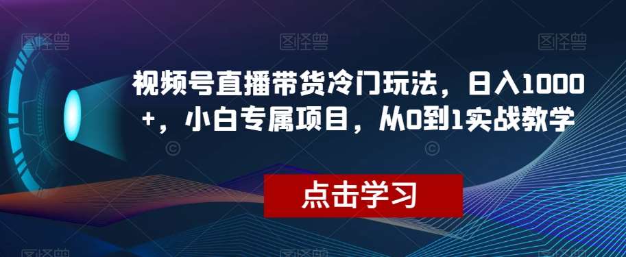 视频号直播带货冷门玩法，日入1000+，小白专属项目，从0到1实战教学【揭秘】-三石资源库