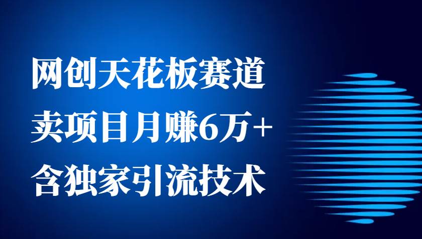 网创天花板赛道，卖项目月赚6万+，含独家引流技术（共26节课）-三石淘金网