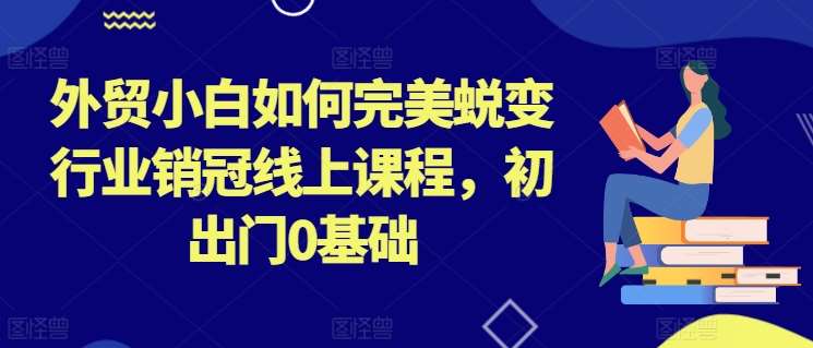 外贸小白如何完美蜕变行业销冠线上课程，初出门0基础-三石淘金网