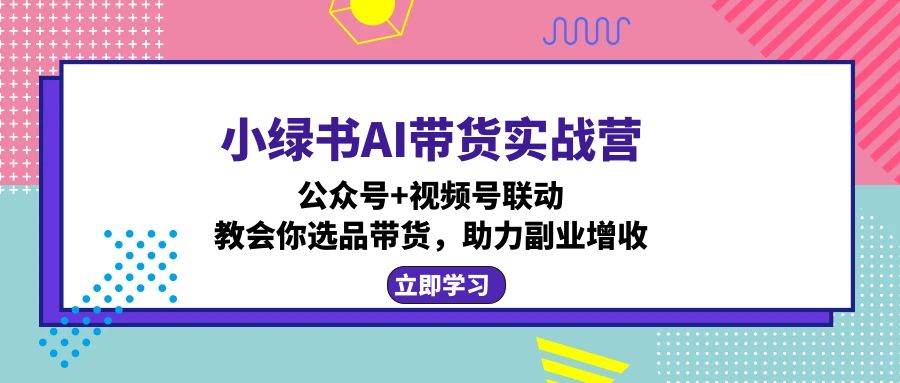 （12848期）小绿书AI带货实战营：公众号+视频号联动，教会你选品带货，助力副业增收-三石资源库