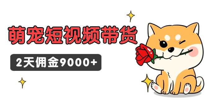 （9273期）东哲日记·萌宠短视频带货，2天佣金9000+-三石资源库