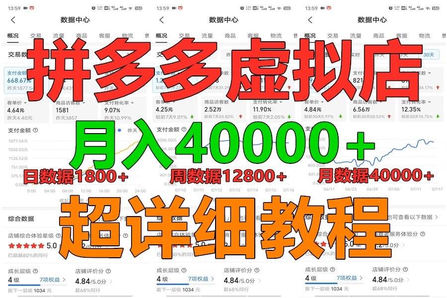 拼多多虚拟电商训练营月入40000+，全网最详细，你做你也行，暴利稳定长久-三石资源库