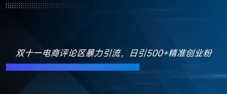 双十一电商评论区暴力引流，日引500+精准创业粉【揭秘】-三石资源库