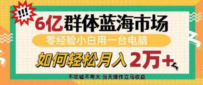 6亿群体蓝海市场，零经验小白用一台电脑，如何轻松月入过w【揭秘】-三石资源库