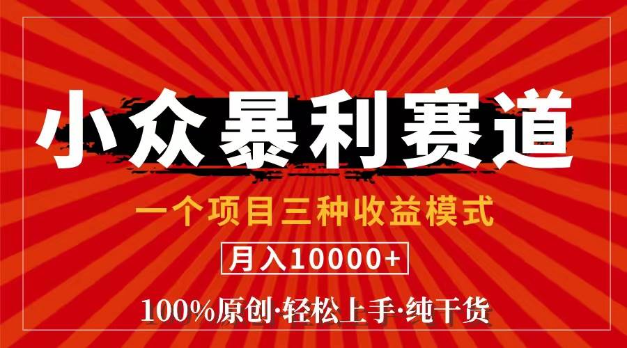 （11695期）视频号【中老年粉深信不疑】小众赛道 100%原创 手把手教学 新号3天收益…-三石资源库