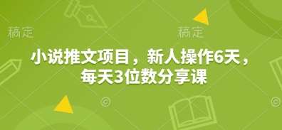 小说推文项目，新人操作6天，每天3位数分享课-三石资源库
