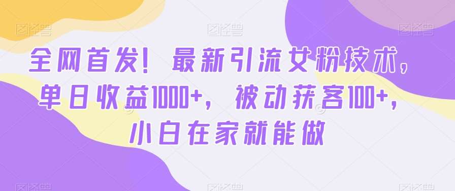 全网首发！最新引流女粉技术，单日收益1000+，被动获客100+，小白在家就能做【揭秘】-三石资源库