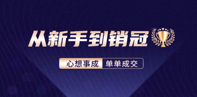 （12383期）从新手到销冠：精通客户心理学，揭秘销冠背后的成交秘籍-三石资源库