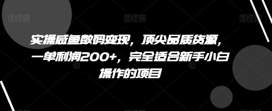 实操咸鱼数码变现，顶尖品质货源，一单利润200+，完全适合新手小白操作的项目【揭秘】-三石淘金网