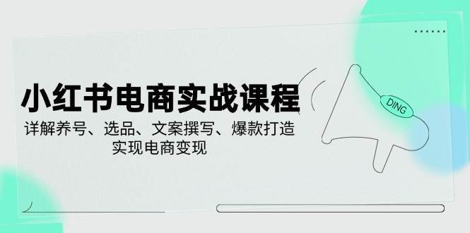 小红书电商实战课程，详解养号、选品、文案撰写、爆款打造，实现电商变现-三石资源库