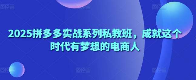 2025拼多多实战系列私教班，成就这个时代有梦想的电商人-三石淘金网