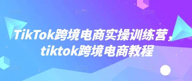 TikTok跨境电商实操训练营，tiktok跨境电商教程-三石资源库