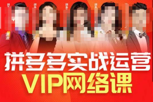 推易拼多多VIP全套直播课程，拼多多店铺实操玩法+实战玩法选款内功+直通车高阶等-三石资源库