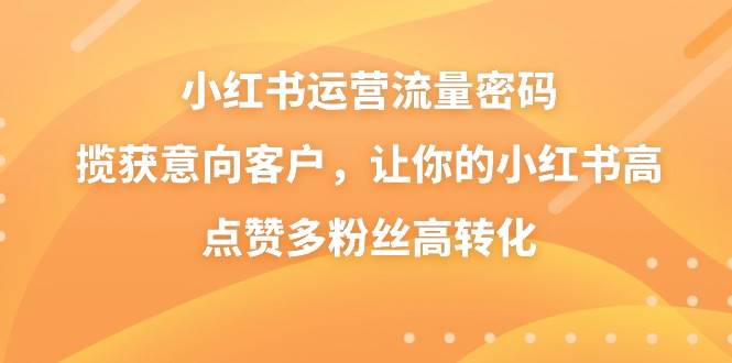 小红书运营流量密码，揽获意向客户，让你的小红书高点赞多粉丝高转化-三石资源库