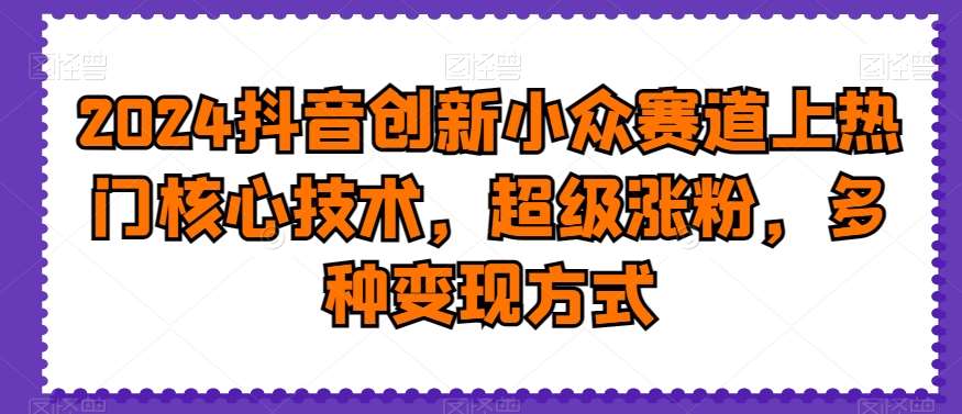 2024抖音创新小众赛道上热门核心技术，超级涨粉，多种变现方式【揭秘】-三石资源库