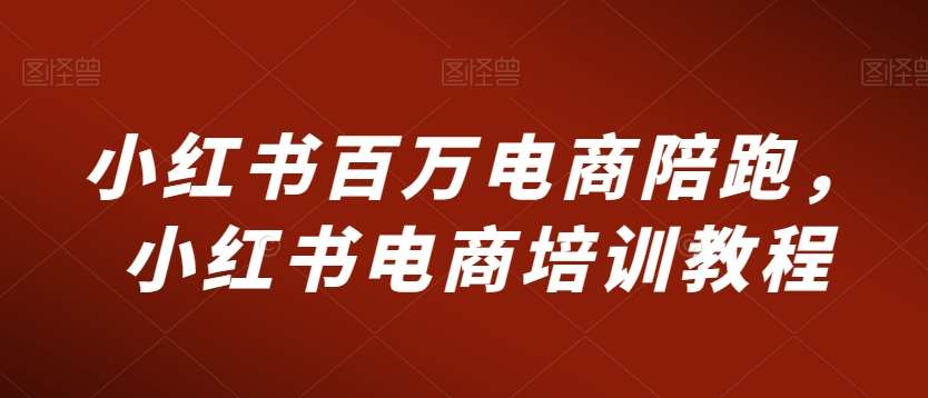 小红书百万电商陪跑，小红书电商培训教程-三石淘金网