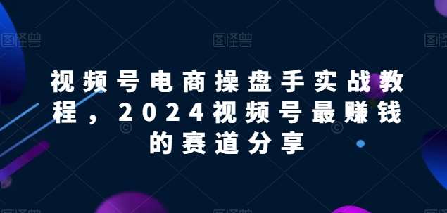 视频号电商实战教程，2024视频号最赚钱的赛道分享-三石资源库