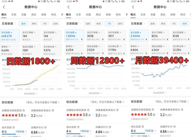 图片[2]-拼多多虚拟电商训练营月入30000+你也行，暴利稳定长久，副业首选-三石资源库