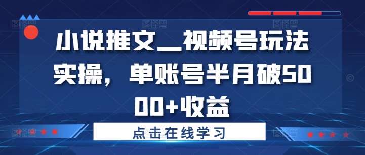 小说推文—视频号玩法实操，单账号半月破5000+收益-三石资源库