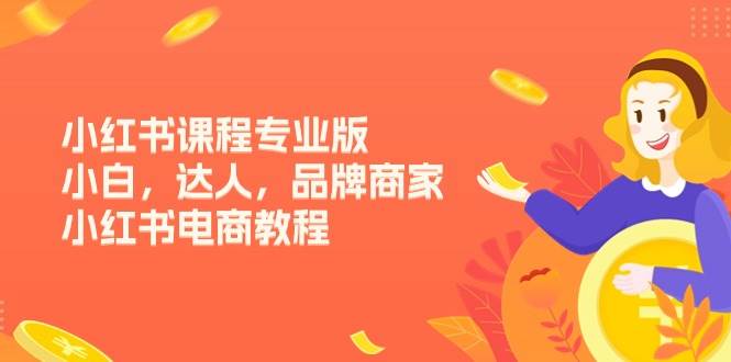 小红书课程专业版，小白，达人，品牌商家，小红书电商教程（15节）-三石淘金网